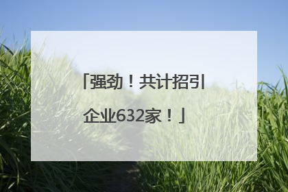 强劲！共计招引企业632家！