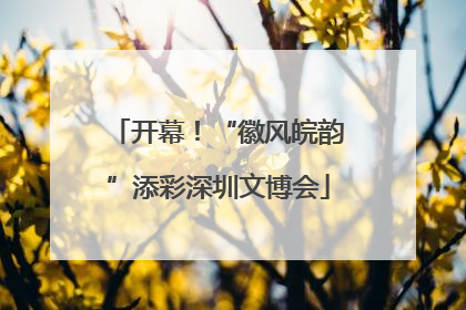 开幕！“徽风皖韵”添彩深圳文博会