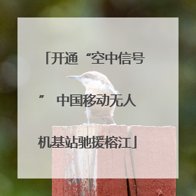 开通“空中信号” 中国移动无人机基站驰援榕江