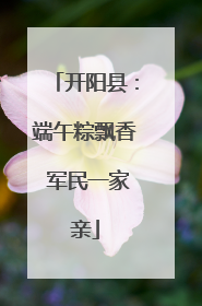 开阳县：端午粽飘香 军民一家亲