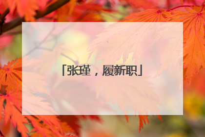 张瑾，履新职