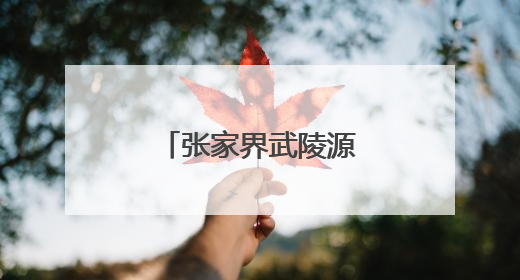 张家界武陵源：从“暖心驿站”到创新样板