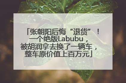 张朝阳后悔“退货”！一个绝版Labubu，被胡润拿去换了一辆车，整车原价值上百万元