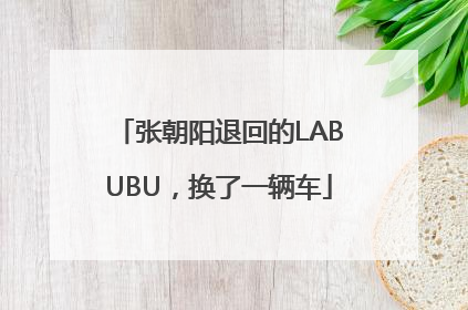 张朝阳退回的LABUBU，换了一辆车