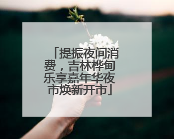 提振夜间消费，吉林桦甸乐享嘉年华夜市焕新开市