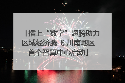 插上“数字”翅膀助力区域经济腾飞 川南地区首个智算中心启动