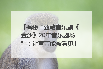 揭秘“致敬音乐剧《金沙》20年音乐剧场”：让声音能被看见