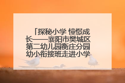 探秘小学 憧憬成长——襄阳市樊城区第二幼儿园衡庄分园幼小衔接班走进小学开展参观体验活动