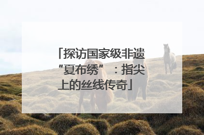 探访国家级非遗“夏布绣”：指尖上的丝线传奇