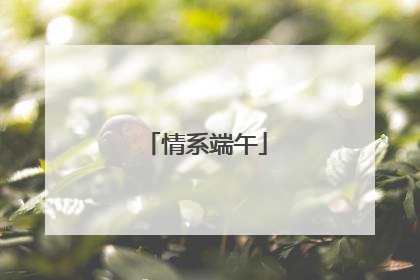 情系端午