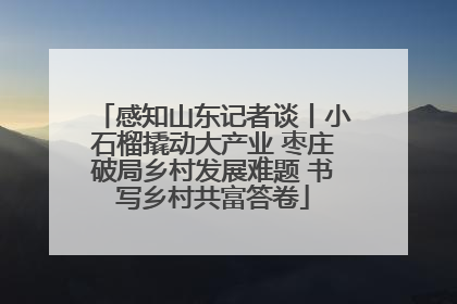 感知山东记者谈丨小石榴撬动大产业 枣庄破局乡村发展难题 书写乡村共富答卷