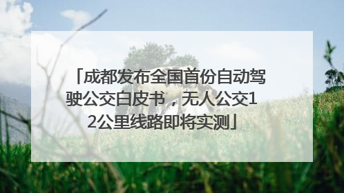 成都发布全国首份自动驾驶公交白皮书，无人公交12公里线路即将实测