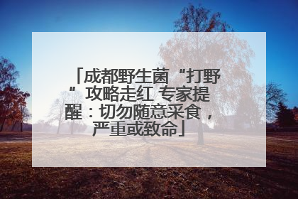 成都野生菌“打野”攻略走红 专家提醒：切勿随意采食，严重或致命