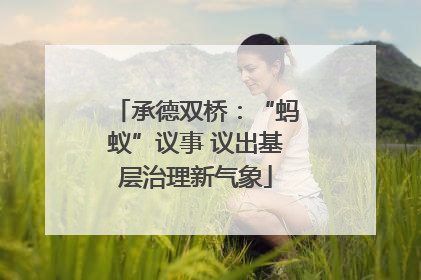 承德双桥：“蚂蚁”议事 议出基层治理新气象