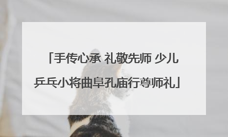 手传心承 礼敬先师 少儿乒乓小将曲阜孔庙行尊师礼