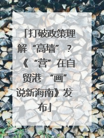 打破政策理解“高墙”？《“营”在自贸港 “画”说新海南》发布