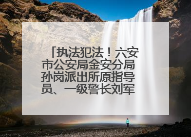 执法犯法！六安市公安局金安分局孙岗派出所原指导员、一级警长刘军被“双开”