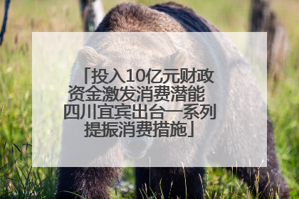投入10亿元财政资金激发消费潜能 四川宜宾出台一系列提振消费措施