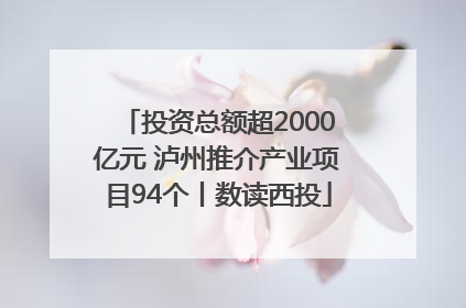 投资总额超2000亿元 泸州推介产业项目94个丨数读西投