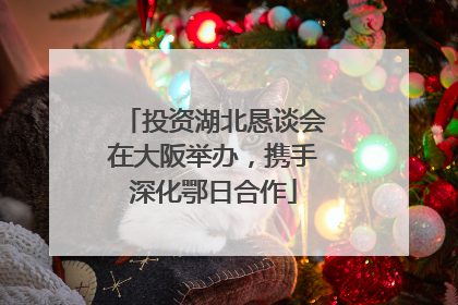 投资湖北恳谈会在大阪举办，携手深化鄂日合作