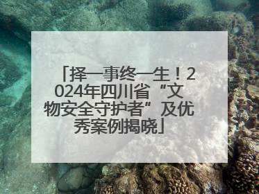 择一事终一生！2024年四川省“文物安全守护者”及优秀案例揭晓