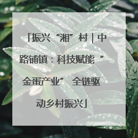 振兴“湘”村｜中路铺镇：科技赋能“金蛋产业” 全链驱动乡村振兴