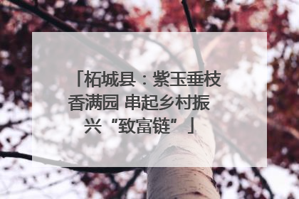 柘城县：紫玉垂枝香满园 串起乡村振兴“致富链”