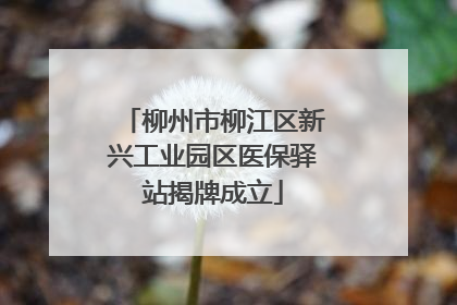 柳州市柳江区新兴工业园区医保驿站揭牌成立