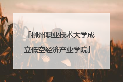 柳州职业技术大学成立低空经济产业学院