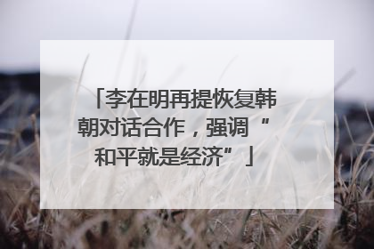 李在明再提恢复韩朝对话合作，强调“和平就是经济”