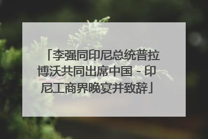 李强同印尼总统普拉博沃共同出席中国－印尼工商界晚宴并致辞