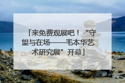 来免费观展吧！“守望与在场——毛本华艺术研究展”开幕