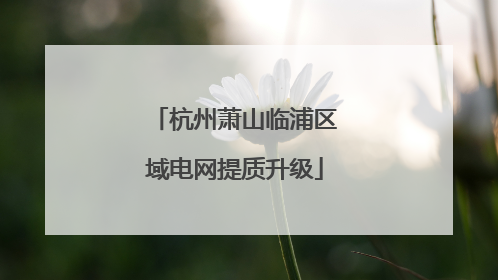 杭州萧山临浦区域电网提质升级