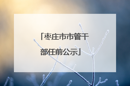 枣庄市市管干部任前公示