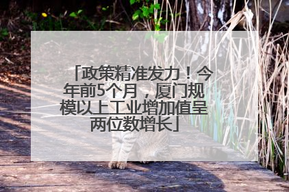 政策精准发力！今年前5个月，厦门规模以上工业增加值呈两位数增长