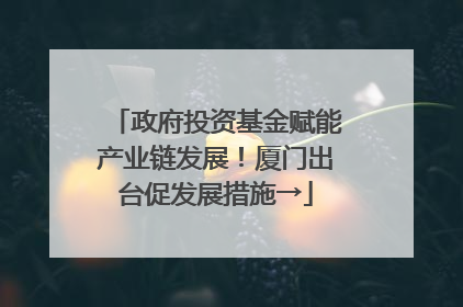 政府投资基金赋能产业链发展！厦门出台促发展措施→
