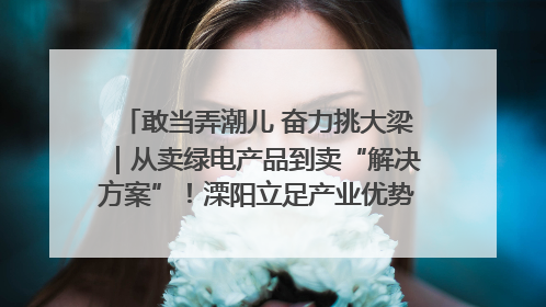 敢当弄潮儿 奋力挑大梁｜从卖绿电产品到卖“解决方案”！溧阳立足产业优势建成五大微电网示范项目