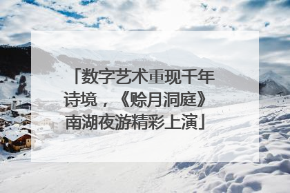 数字艺术重现千年诗境，《赊月洞庭》南湖夜游精彩上演