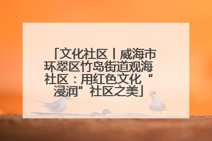 文化社区丨威海市环翠区竹岛街道观海社区：用红色文化“浸润”社区之美