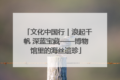 文化中国行｜浪起千帆 深蓝宝藏——博物馆里的海丝遗珍