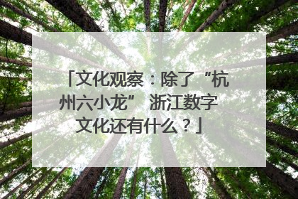 文化观察：除了“杭州六小龙” 浙江数字文化还有什么？