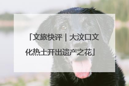 文旅快评｜大汶口文化热土开出遗产之花