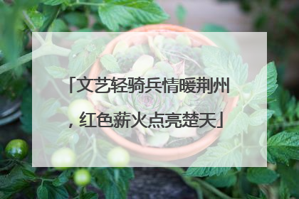 文艺轻骑兵情暖荆州，红色薪火点亮楚天