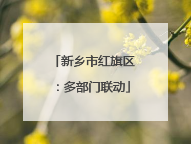 新乡市红旗区：多部门联动