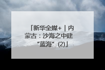 新华全媒+｜内蒙古：沙海之中建“蓝海”(2)