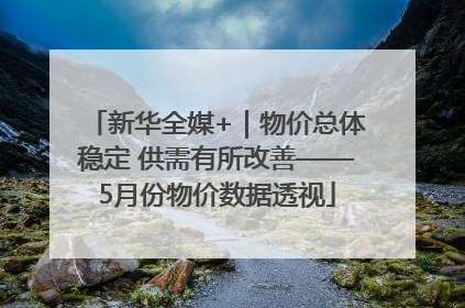 新华全媒+｜物价总体稳定 供需有所改善——5月份物价数据透视