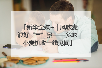 新华全媒+｜风吹麦浪好“丰”景——多地小麦机收一线见闻