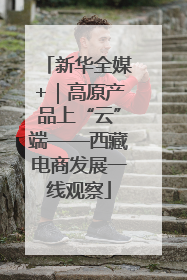 新华全媒+｜高原产品上“云”端——西藏电商发展一线观察