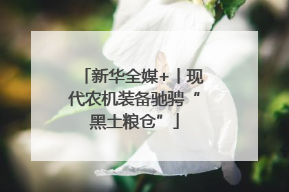 新华全媒+丨现代农机装备驰骋“黑土粮仓”