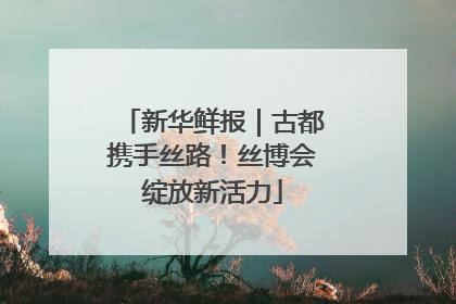 新华鲜报｜古都携手丝路！丝博会绽放新活力